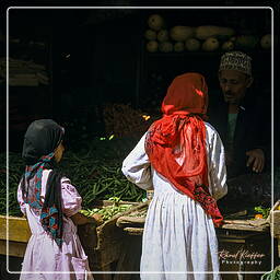 Iêmen (170) Taiz