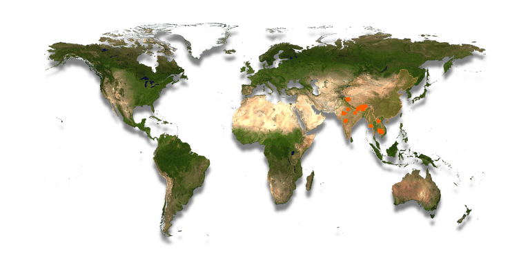 Location map: Buddhist - hindu temples