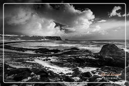 Iceland, Dyrhólaey (46)