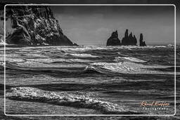 Iceland, Dyrhólaey (56)
