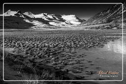 Iceland, East fjords (12)