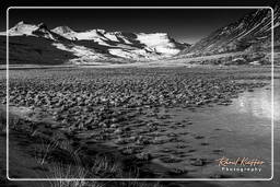 Fjords de l’est (12) Islande