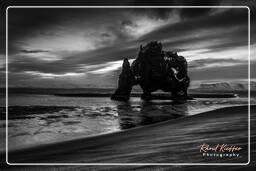 Iceland, Hvítserkur (14)