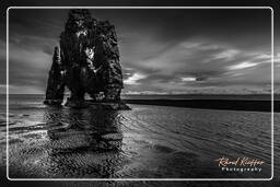Iceland, Hvítserkur (76)
