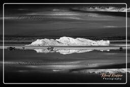 Jökulsárlón (116) Islanda