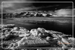 Iceland, Jökulsárlón (184)