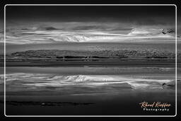 Jokulsarlon (87) Islande
