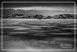 Lake Myvatn (5) Islande