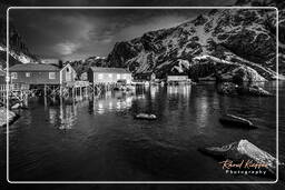 Nusfjord (Lofoten) (520) Norway