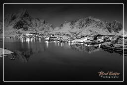 Reine (Lofoten) (237) Norvegia