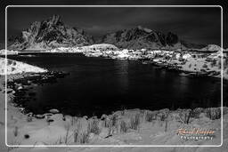 Norway, Reine (Lofoten) (531)