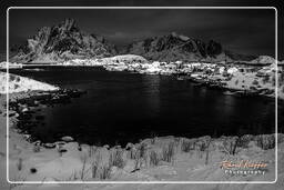 Reine (Lofoten) (531) Norvegia