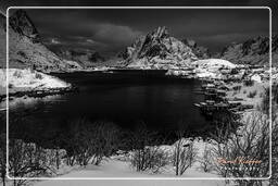 Reine (Lofoten) (588) Norvège