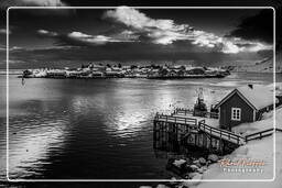 Norway, Reine (Lofoten) (666)