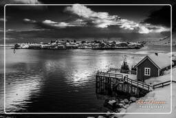 Reine (Lofoten) (666) Norway