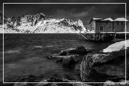 Reinefjorden (Lofoten) (16) Norvegia