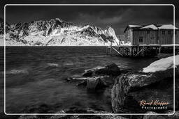 Norway, Reinefjorden (Lofoten) (16)