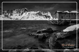 Reinefjorden (Lofoten) (16) Norway