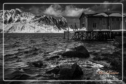 Norway, Reinefjorden (Lofoten) (54)