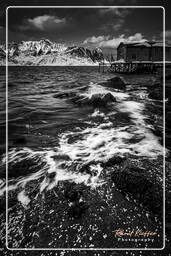 Norway, Reinefjorden (Lofoten) (66)