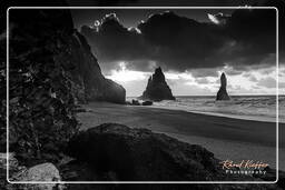 Iceland, Reynisfjara (131)