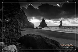 Reynisfjara (131) Island