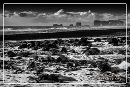 Reynisfjara (207) Islande