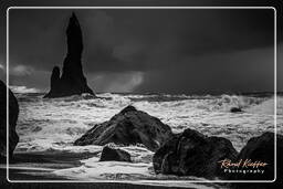 Reynisfjara (263) Islanda