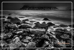 Skagsanden Beach (Lofoten) (21) Norvège