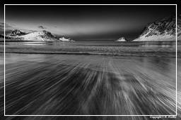 Vik Beach (Lofoten) (73) Norvège