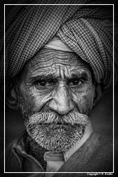 Pushkar (68) Fiera dei cammelli di Pushkar (Kartik Mela) - India