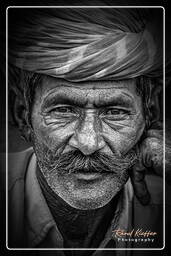 Pushkar Camel Fair (Kartik Mela) - India, Pushkar (70)