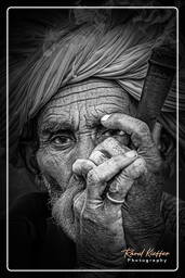 Pushkar Camel Fair (Kartik Mela) - India, Pushkar (79)