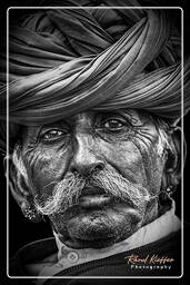 Pushkar Camel Fair (Kartik Mela) - India, Pushkar (88)