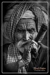 Pushkar Camel Fair (Kartik Mela) - India, Pushkar (1008)