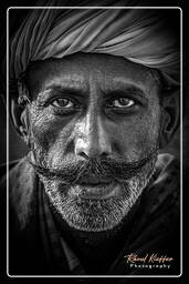 Pushkar Camel Fair (Kartik Mela) - India, Pushkar (1061)