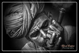 Pushkar Camel Fair (Kartik Mela) - India, Pushkar (1110)