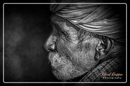 Pushkar Camel Fair (Kartik Mela) - India, Pushkar (1125)