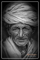 Pushkar Camel Fair (Kartik Mela) - India, Pushkar (519)