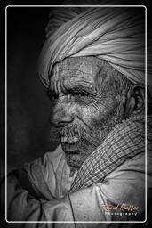 Pushkar Camel Fair (Kartik Mela) - India, Pushkar (672)