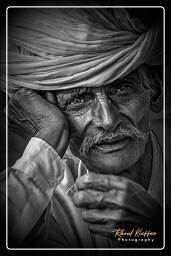 Pushkar Camel Fair (Kartik Mela) - India, Pushkar (721)
