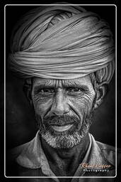 Pushkar Camel Fair (Kartik Mela) - India, Pushkar (723)