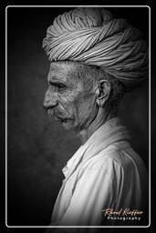 Pushkar Camel Fair (Kartik Mela) - India, Pushkar (947)