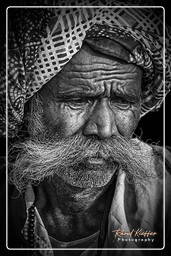 Pushkar Camel Fair (Kartik Mela) - India, Pushkar (993)