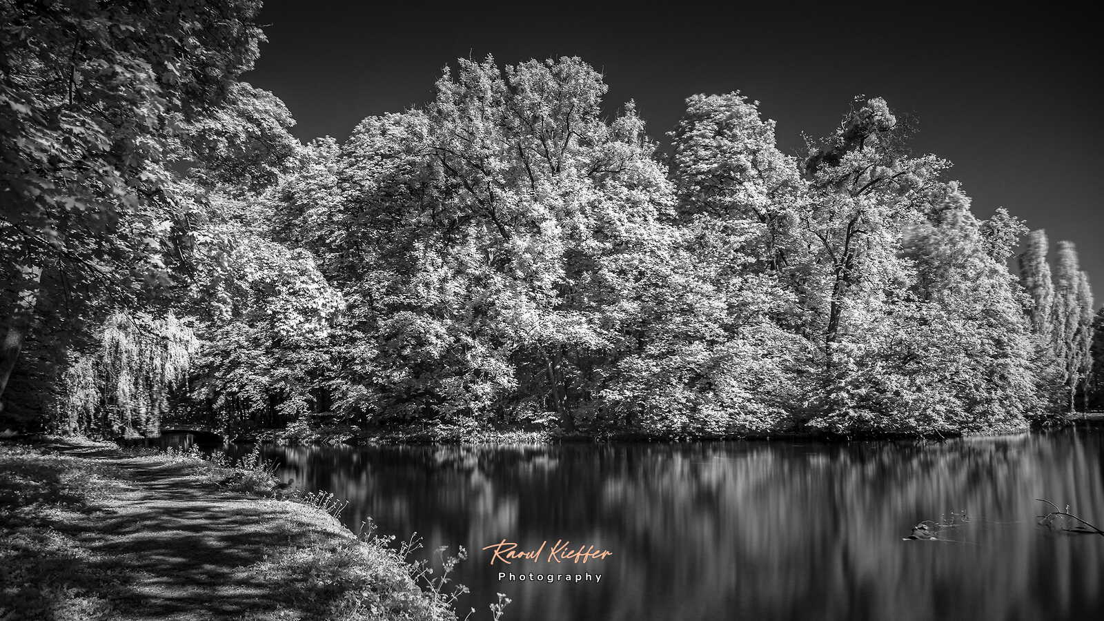 Infrared landscapes
